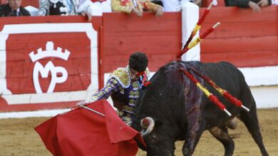 La bajada del IVA cultural también se aplicará al sector taurino