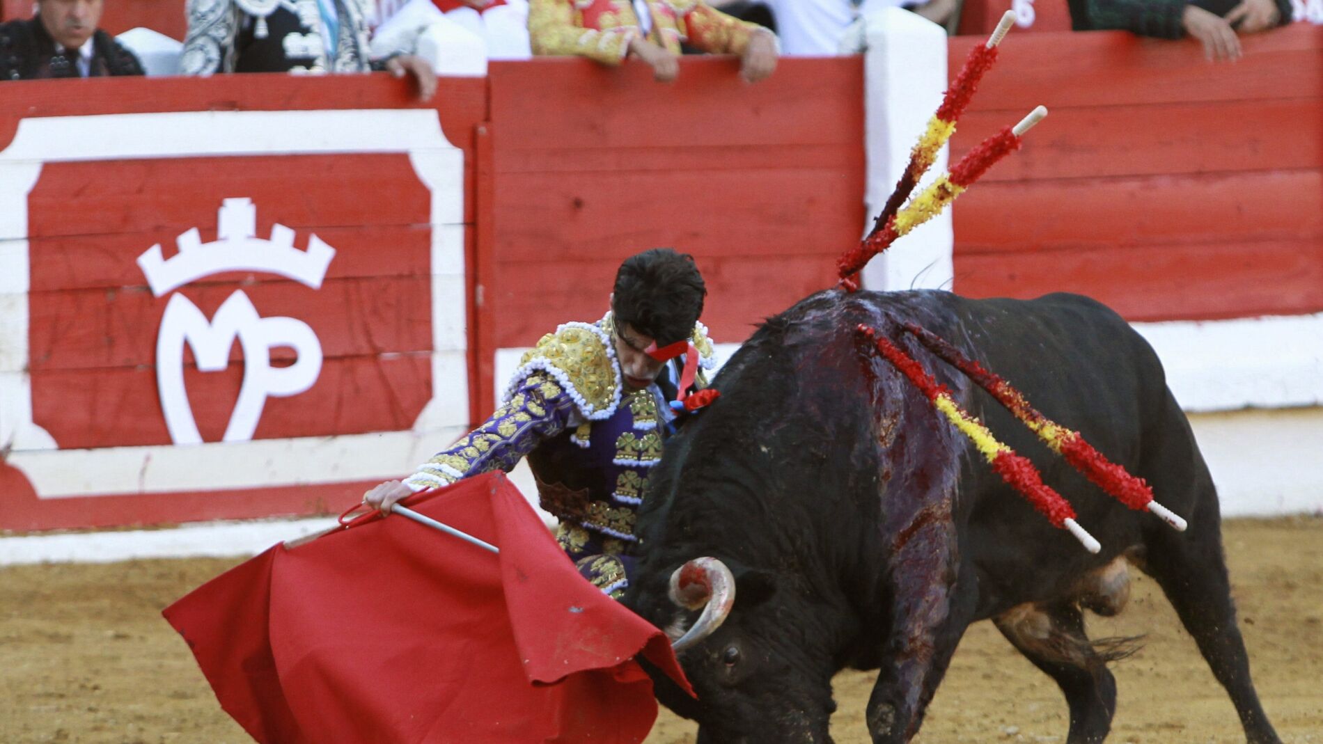 Alejandro Talavante