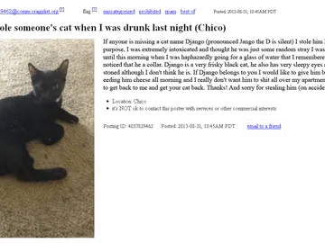 Mensaje publicado en el portal de anuncios Mensaje publicado en el portal de anuncios