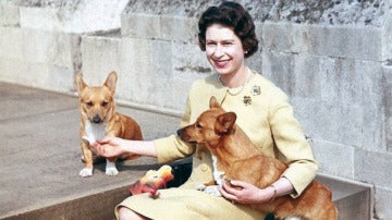 Una foto de juventud de Isabel II con sus corgis