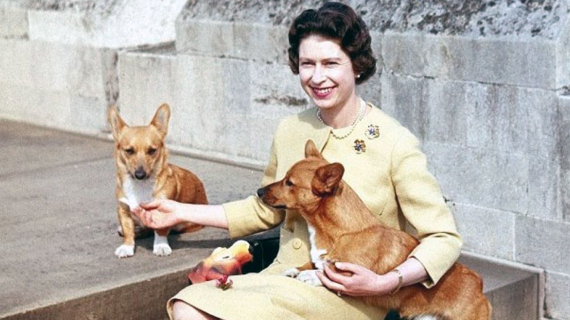 Una foto de juventud de Isabel II con sus corgis