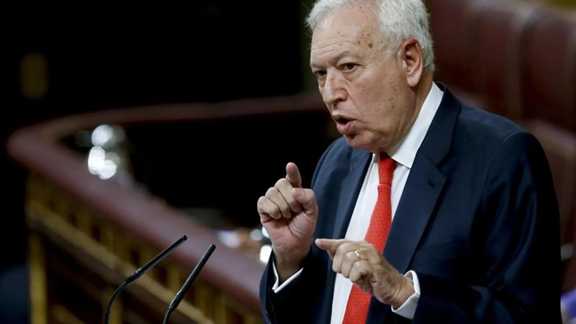 José Manuel García-Margallo, durante su intervención en el pleno del Congreso José Manuel García-Margallo, durante su intervención en el pleno del Congreso