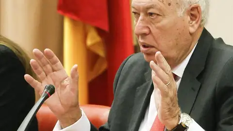 García-Margallo, en rueda de prensa García-Margallo, en rueda de prensa