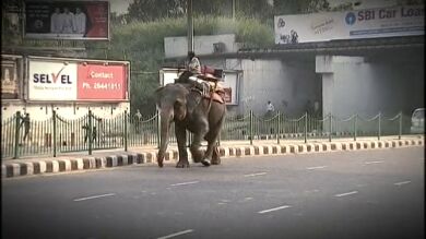 Nira nos muestra India