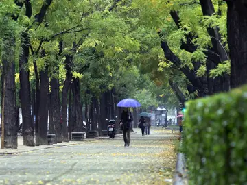 Una mujer con paraguas se protege de la lluvia Una mujer con paraguas se protege de la lluvia