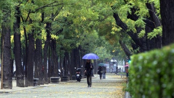 Una mujer con paraguas se protege de la lluvia