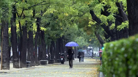 Una mujer con paraguas se protege de la lluvia Una mujer con paraguas se protege de la lluvia