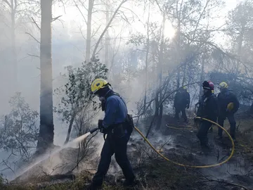 Labores de extinción Labores de extinción