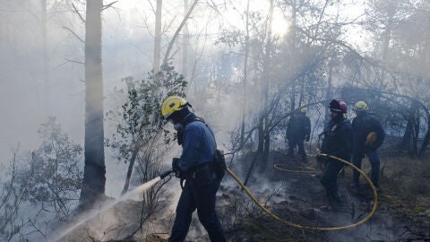 Labores de extinci&oacute;n