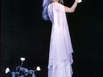 Stevie Nicks