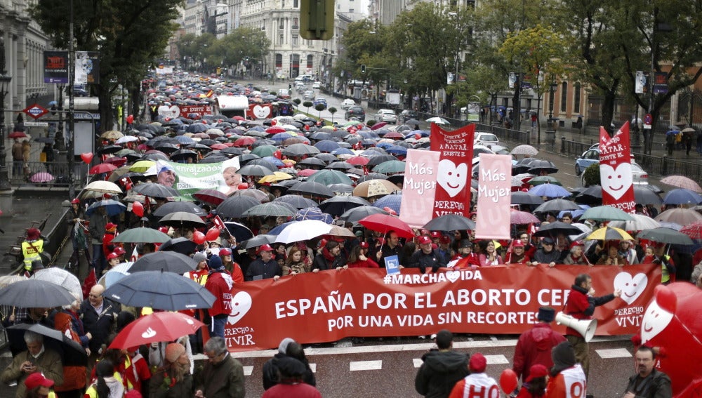 Miles de personas participan en la IV Marcha por la Vida