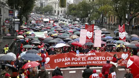 Miles de personas participan en la IV Marcha por la Vida Miles de personas participan en la IV Marcha por la Vida