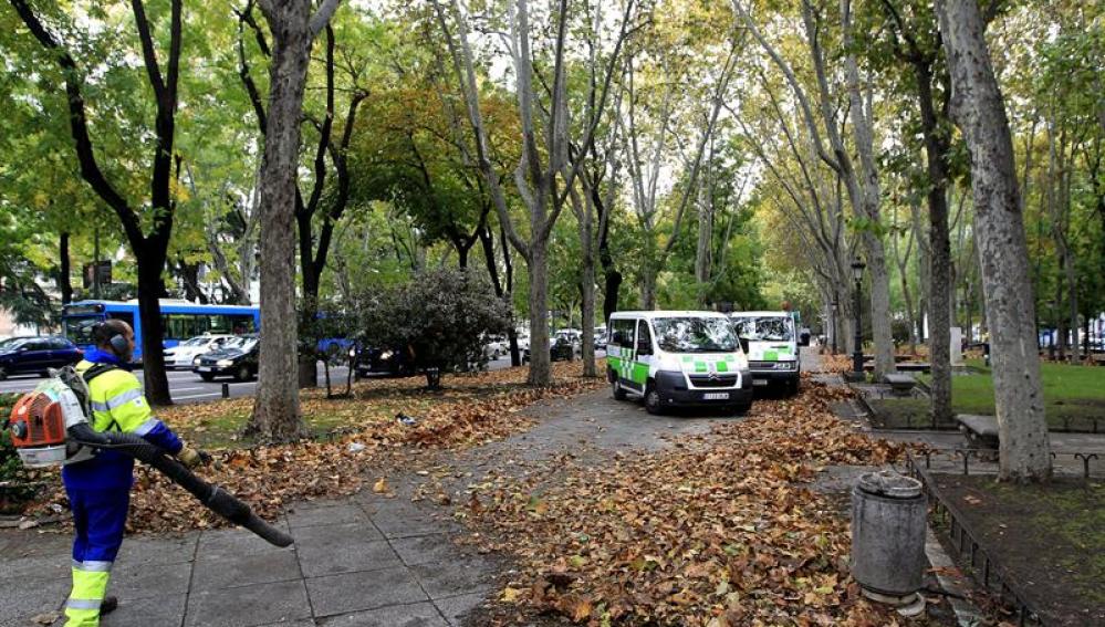  Personal de limpieza trabaja en el Paseo de Recoletos de Madrid.