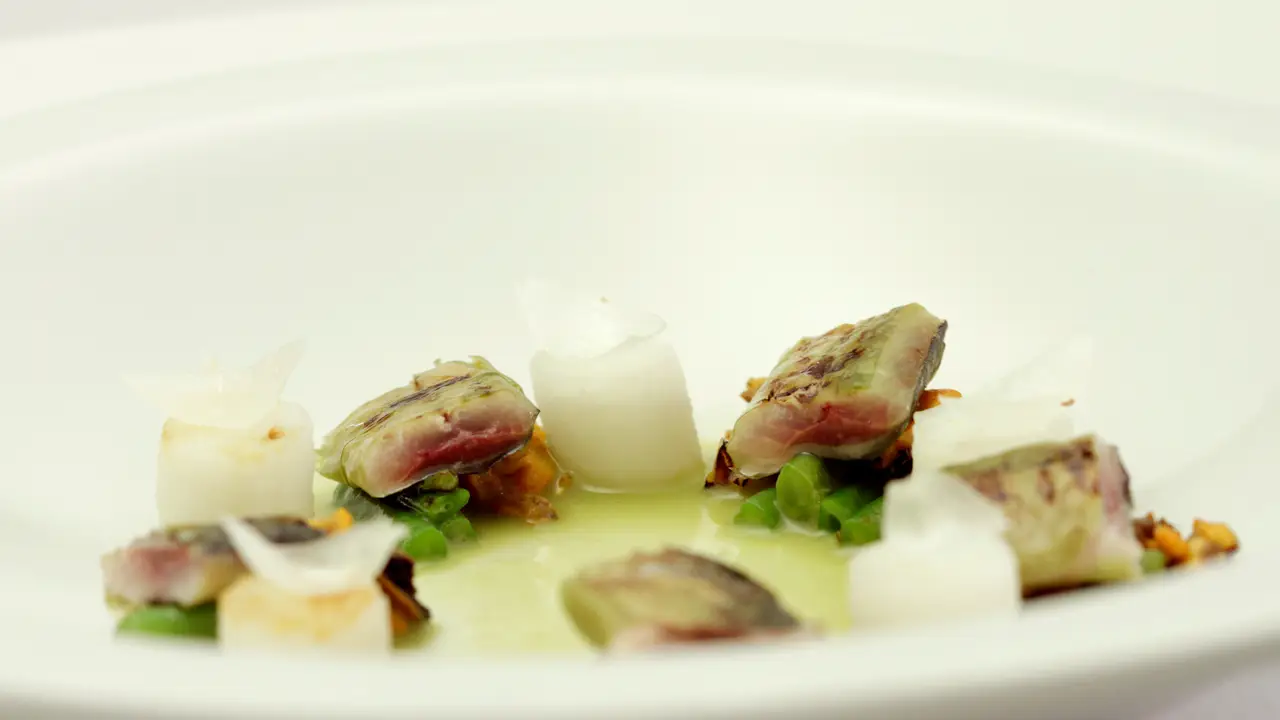 Sardinas con mejillones en fondo marino