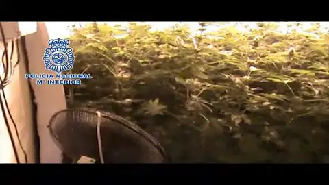 00041 00041