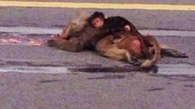 La imagen de un bebé mono abrazado al cadáver de su madre arrasa en las redes