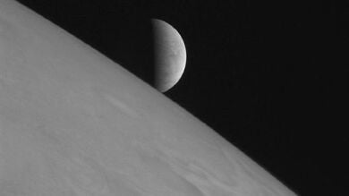 Una nueva criatura marina en la Antártida podría revelar si hay vida extraterrestre
