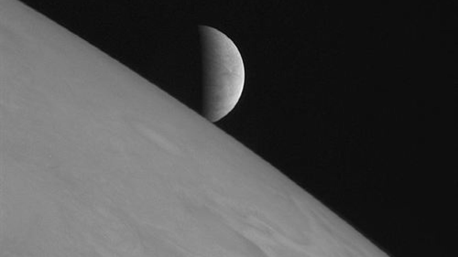 Descubren una criatura marina que revelar&aacute; datos sobre la vida en una de las lunas de J&uacute;piter.