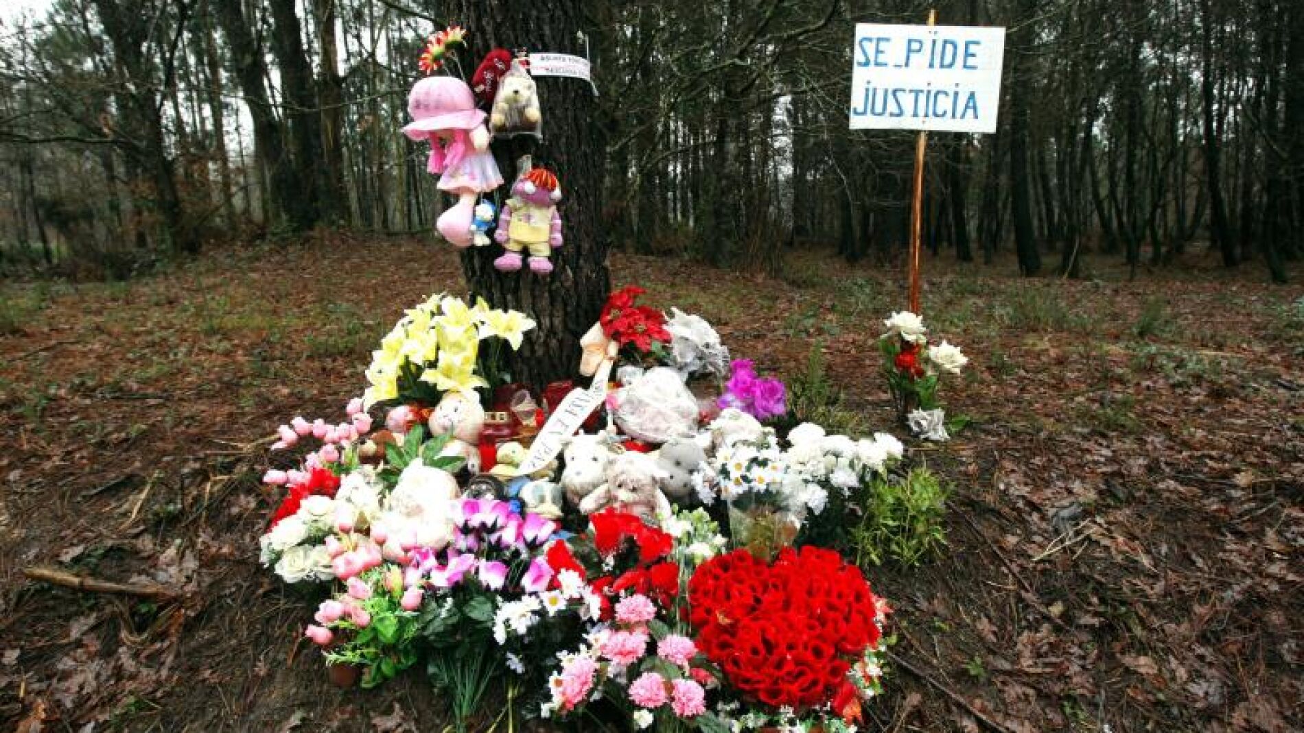 Varios mu&ntilde;ecos y flores colocados en el lugar donde fue encontrado el cuerpo Asunta