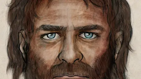 Recreación del CSIC a parti de los resto hallados en el yacimiento de La Braña-Arintero Recreación del CSIC a parti de los resto hallados en el yacimiento de La Braña-Arintero