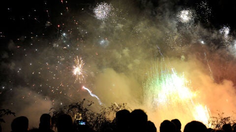 Fuegos artificiales por el A&ntilde;o Nuevo chino