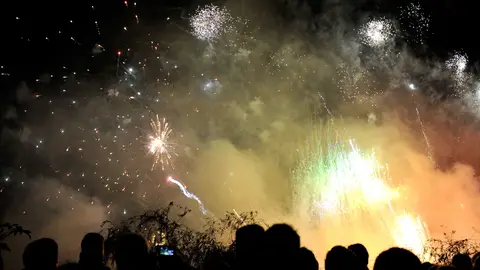 Fuegos artificiales por el Año Nuevo chino Fuegos artificiales por el Año Nuevo chino