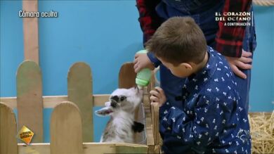 ¡Nos vamos a la granja!