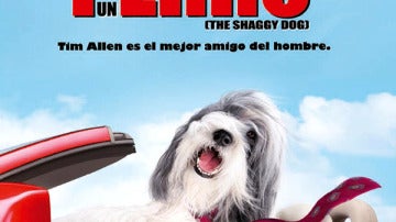 Cariño estoy hecho un perro