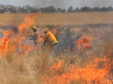 Bomberos en medio de las llamas Bomberos en medio de las llamas