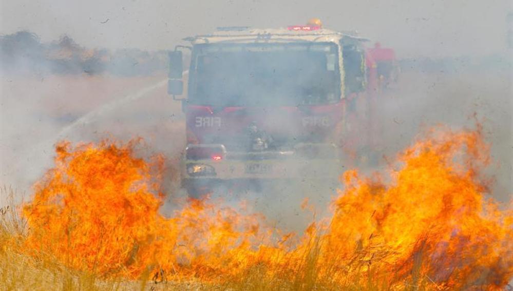 Arde Australia