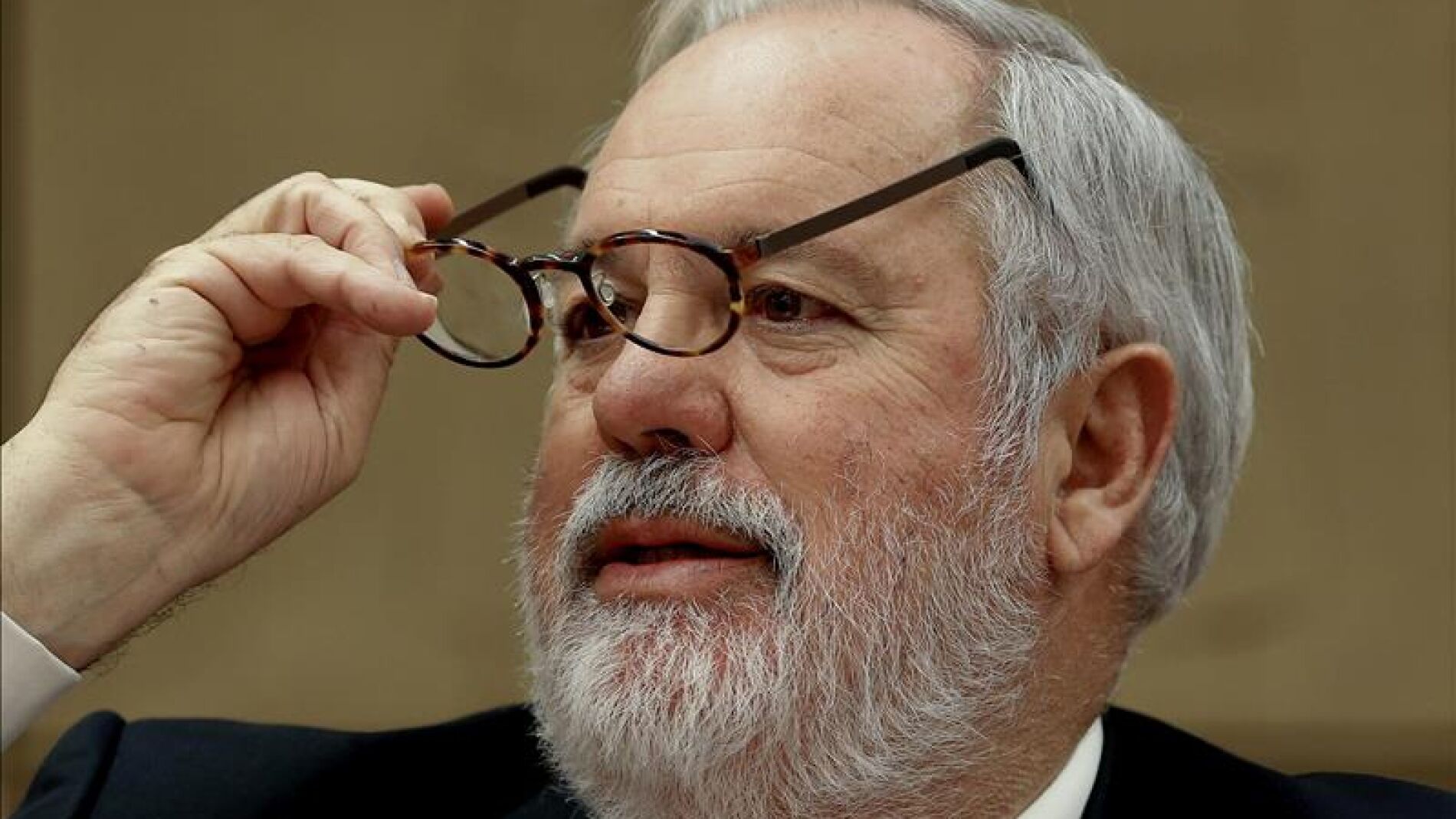 El ministro de Agricultura, Alimentaci&oacute;n y Medio Ambiente, Miguel Arias Ca&ntilde;ete
