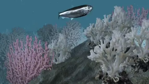 00177 00177