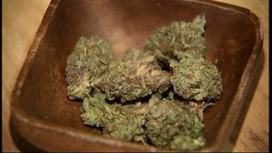Nueve de los diez jóvenes intoxicados tras ingerir un pastel de marihuana reciben el alta hospitalaria