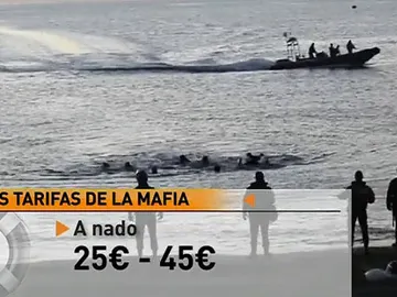 La tarifas de la mafia de inmigrantes La tarifas de la mafia de inmigrantes