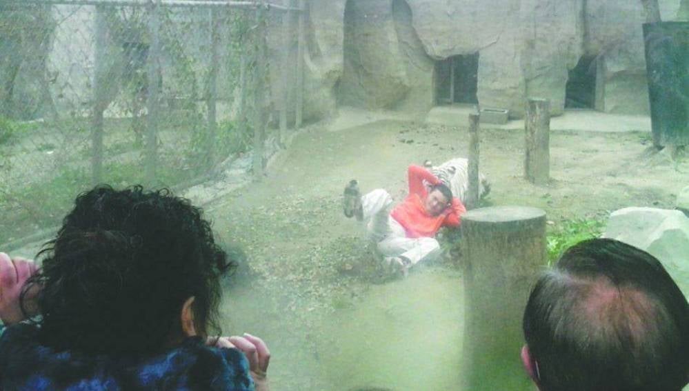 Un chino demente salta a la jaula de dos tigres de Bengala para suicidarse pero le ignoran