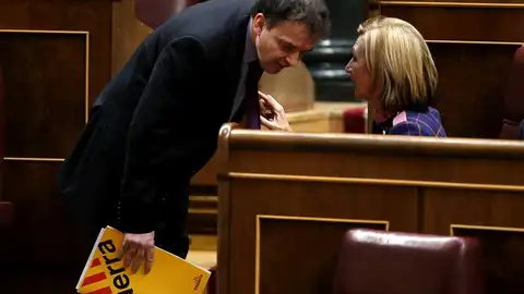 La líder de UPyD, Rosa Díez, conversa con el portavoz de ERC en el Congreso, Alfred Bosch La líder de UPyD, Rosa Díez, conversa con el portavoz de ERC en el Congreso, Alfred Bosch