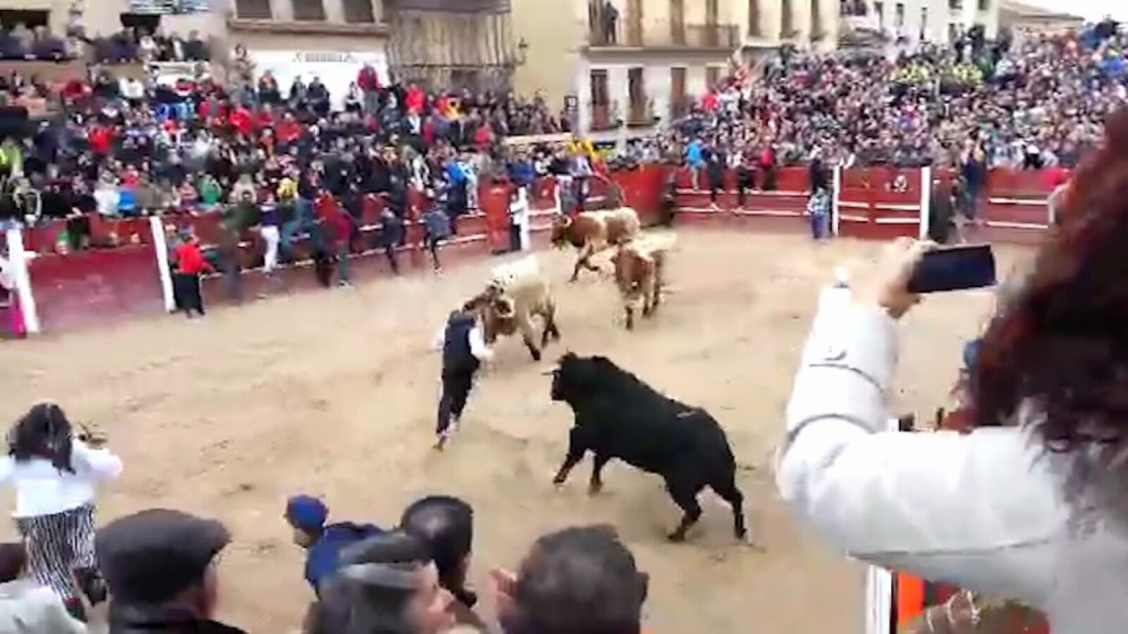 Dos heridos en el primer encierro del Carnaval del Toro en Ciudad Rodrigo