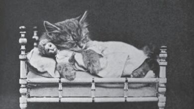 Las imágenes de gatitos ya eran un fenómeno hace un siglo