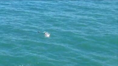 Un hombre se lanza al mar en Cantabria para rescatar a una mujer