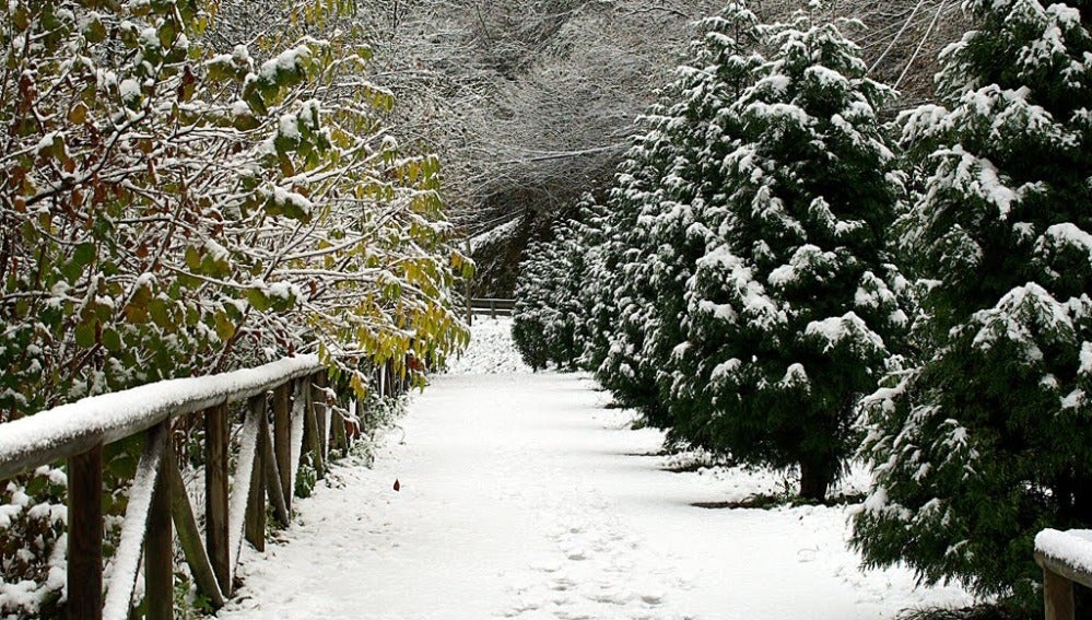 Paseos por la nieve