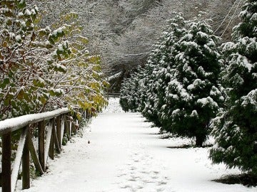 Paseos por la nieve