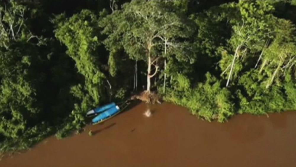 Salto al Amazonas desde 35 metros