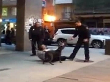 Un perro ataca a un policía en A Coruña