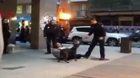 Un perro ataca a un policía en A Coruña Un perro ataca a un policía en A Coruña