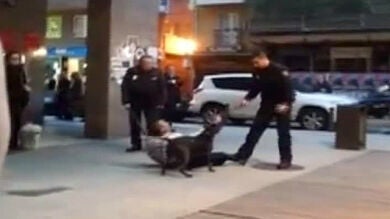 Un perro ataca a dos policías cuando trataban de arrestar a su dueño