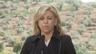 El PSOE califica de 