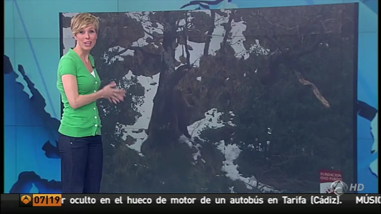 Los osos pardos terminan su hibernación