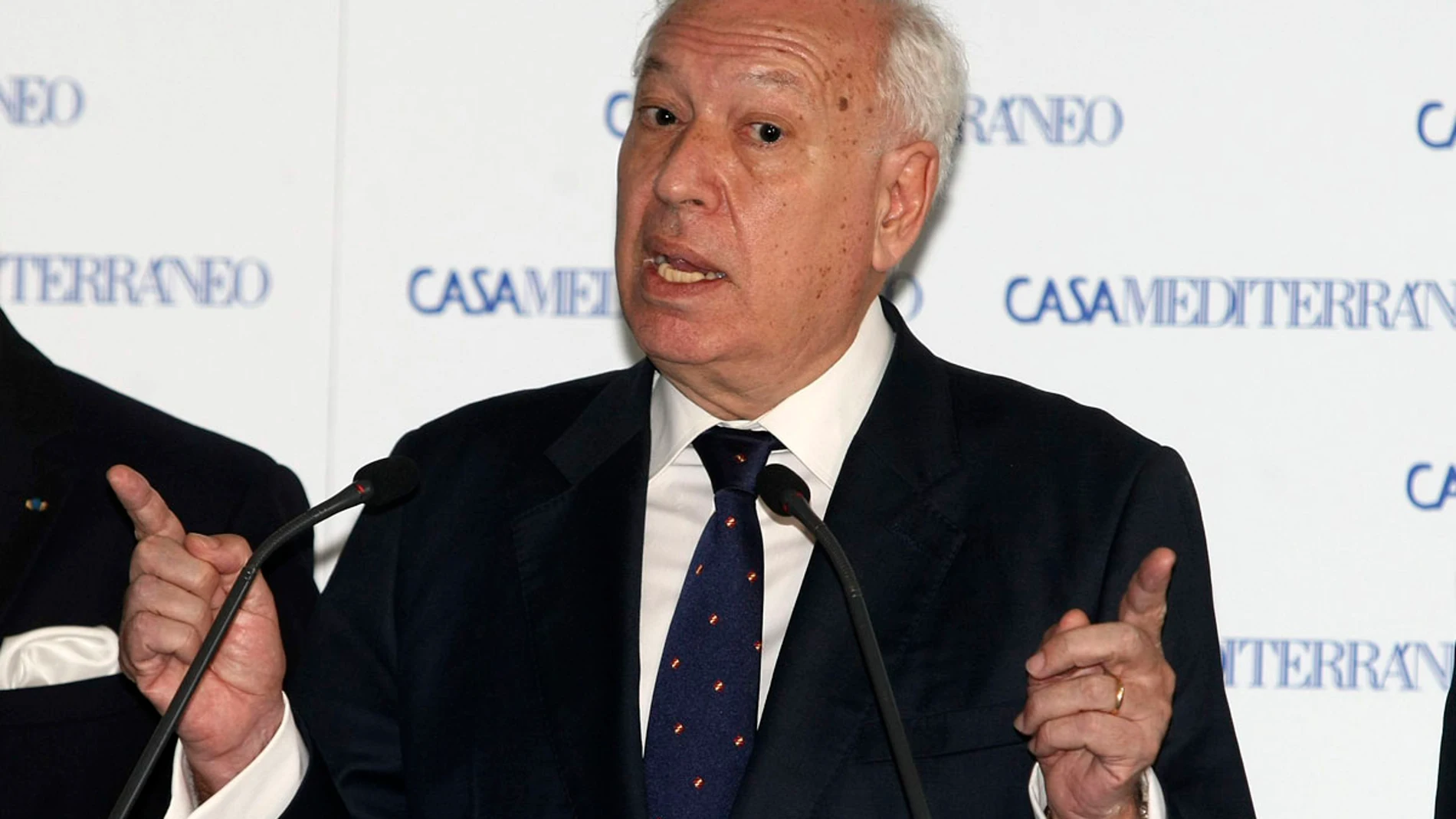 García-Margallo García-Margallo