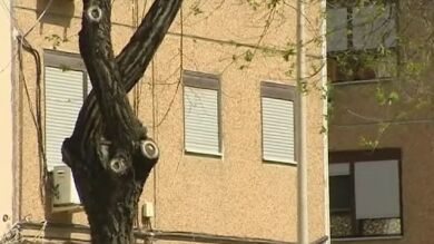 Un pederasta condenado vive frente a víctima por retraso en la ejecución de su sentencia