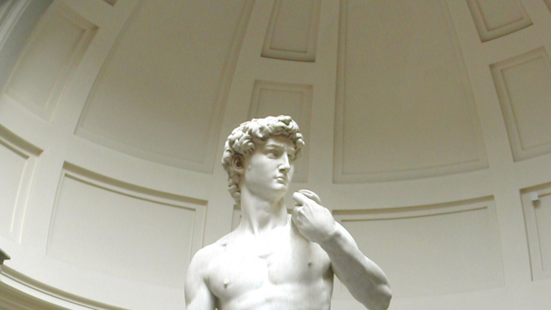 El David de Miguel &Aacute;ngel